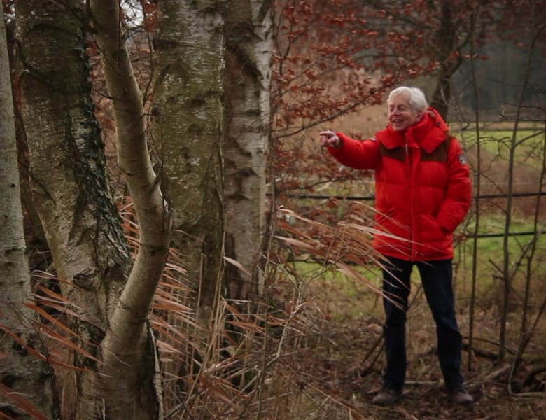 A Walk In The Black Forest