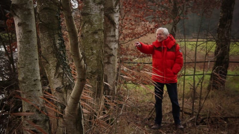 A Walk In The Black Forest